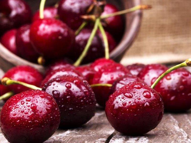 Вишня купить саженцы из питомника в Краснотурьинске